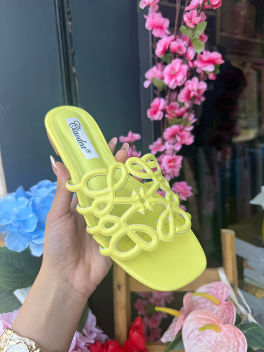 CIABATTA LIME 🍋‍🟩