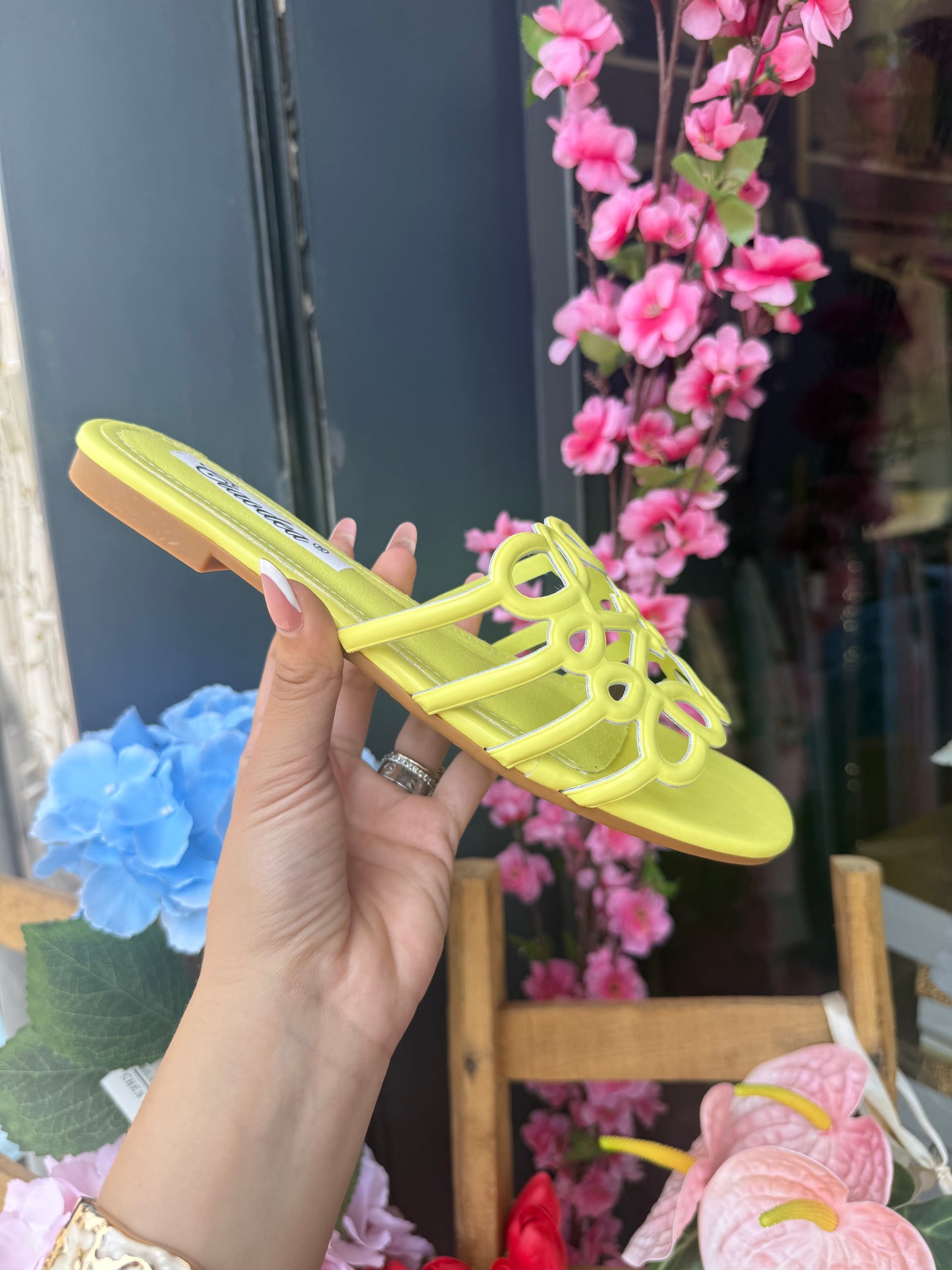 CIABATTA LIME 🍋‍🟩