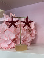 ORECCHINI STELLA ✨